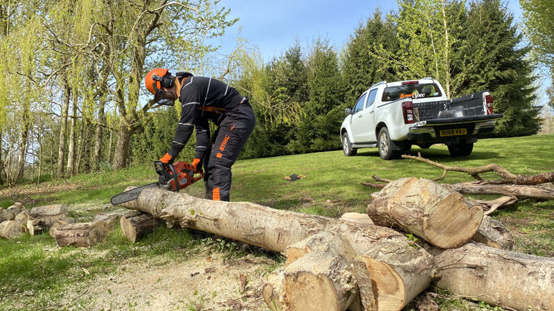 Devon Arborists Tree Surgeonsgrass Cuttinghedge Cutting East Devon