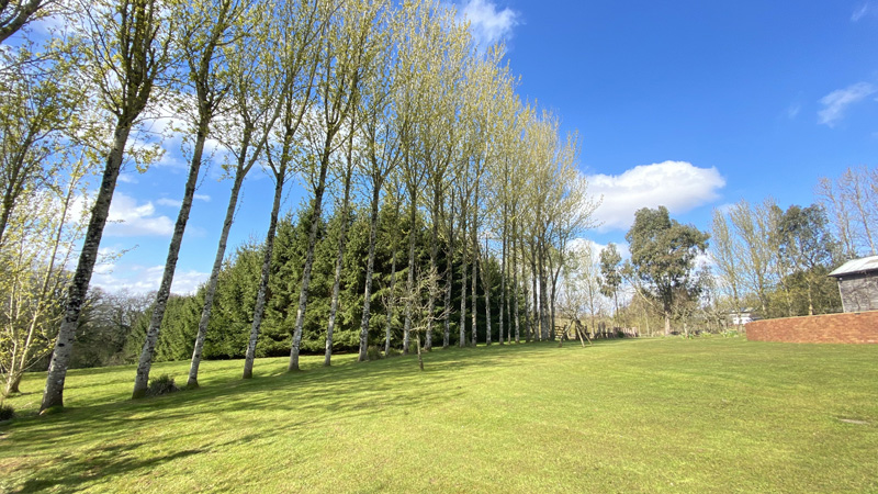 Lawn Mowing East Devon