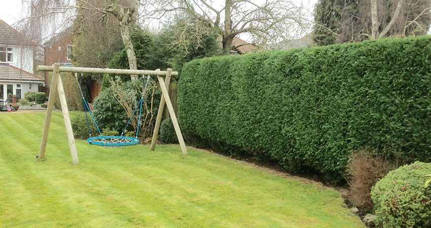 Hedge Cutting Budleigh Salterton