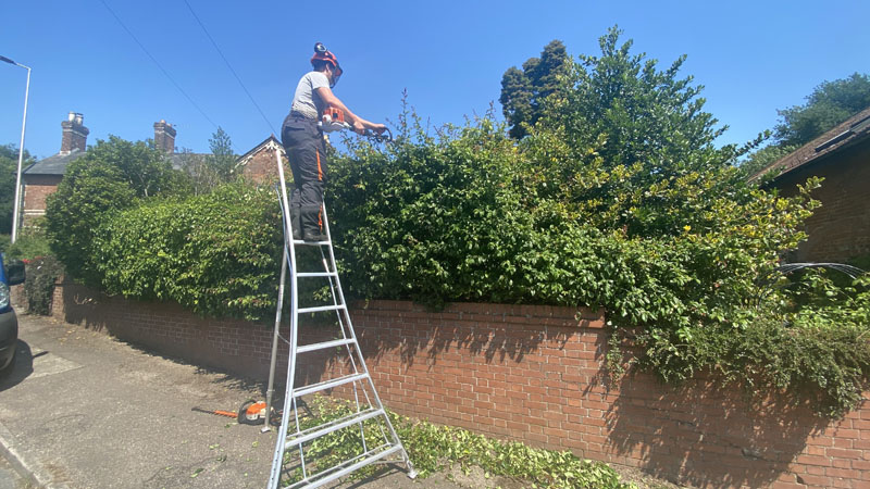 Tree Surgeon Tipton St John