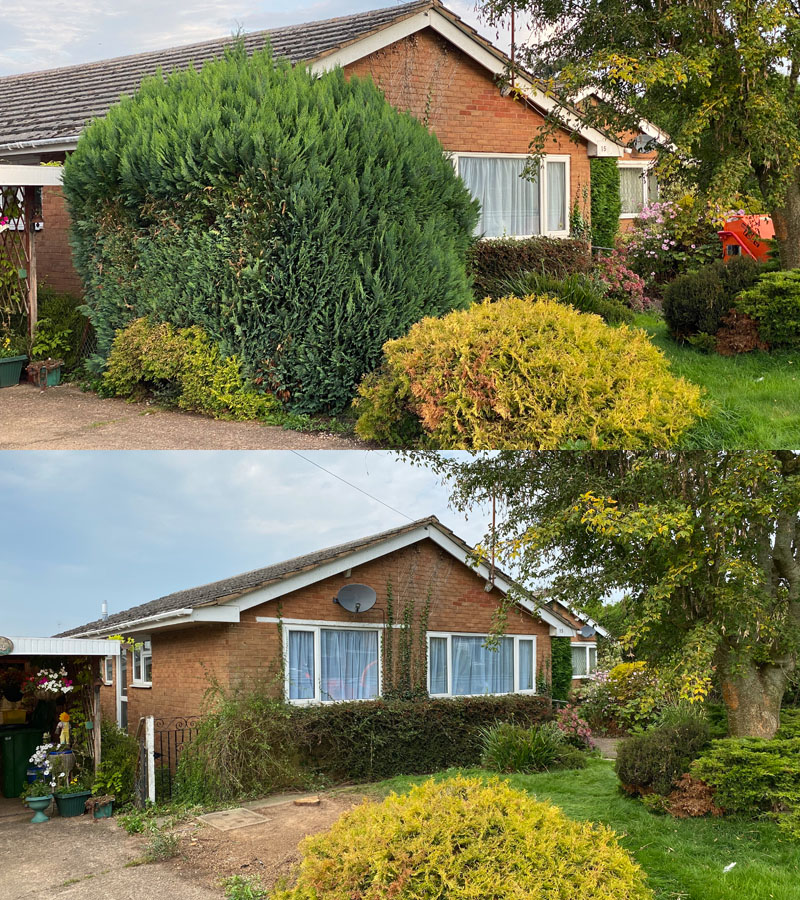 Tree Surgeon Tipton St John