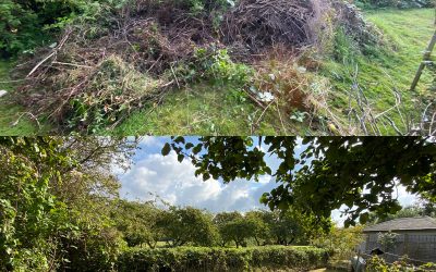 Garden Clearance Colyton