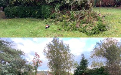 Garden Clearance Seaton