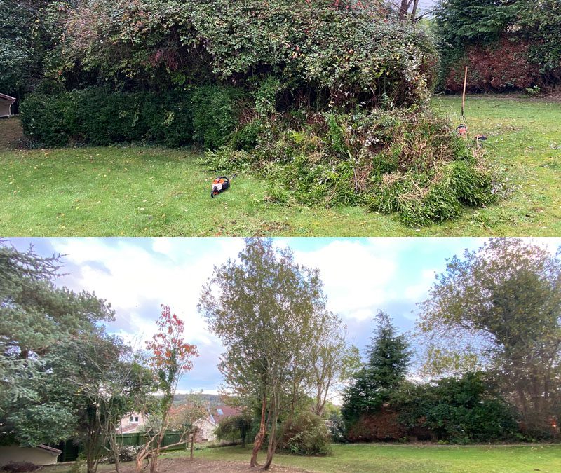 Garden Clearance Seaton