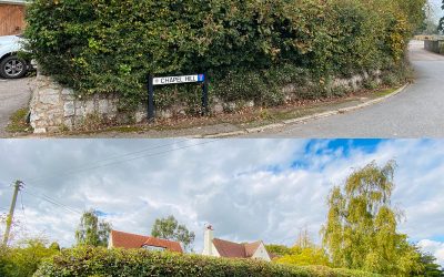Hedge Cutting Clyst St George