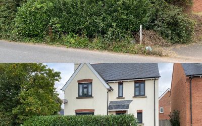 Hedge Cutting Rockbeare