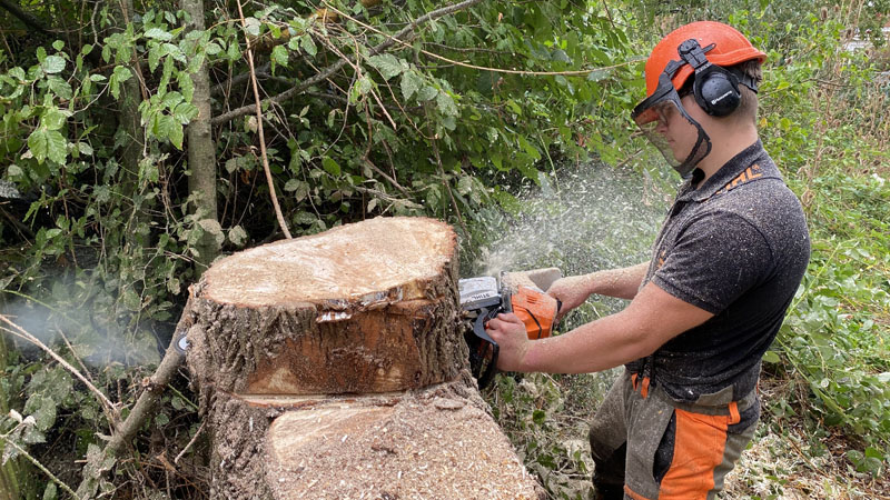 Tree Surgeon Tipton St John