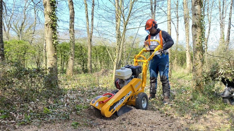 Stump Grinding East Devon