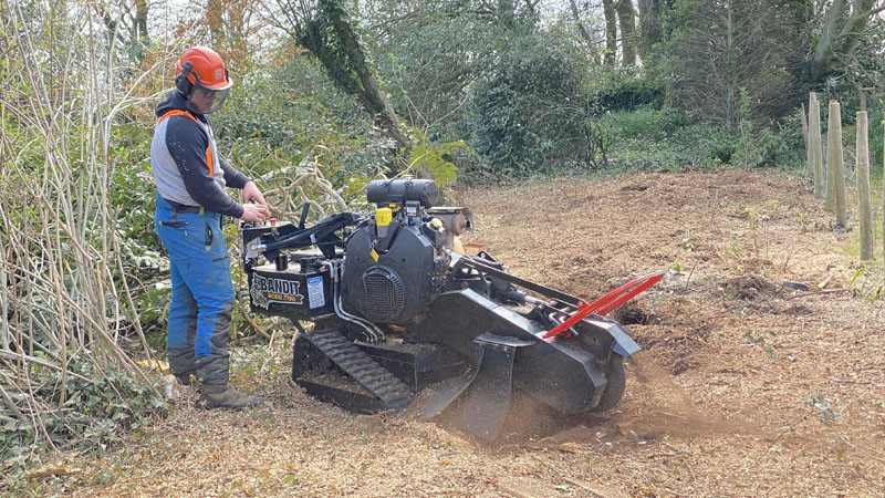 Stump Grinding East Devon