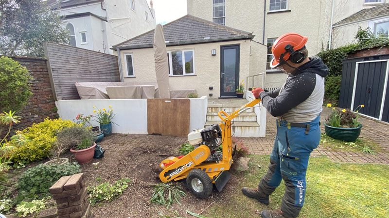 Stump Grinding East Devon