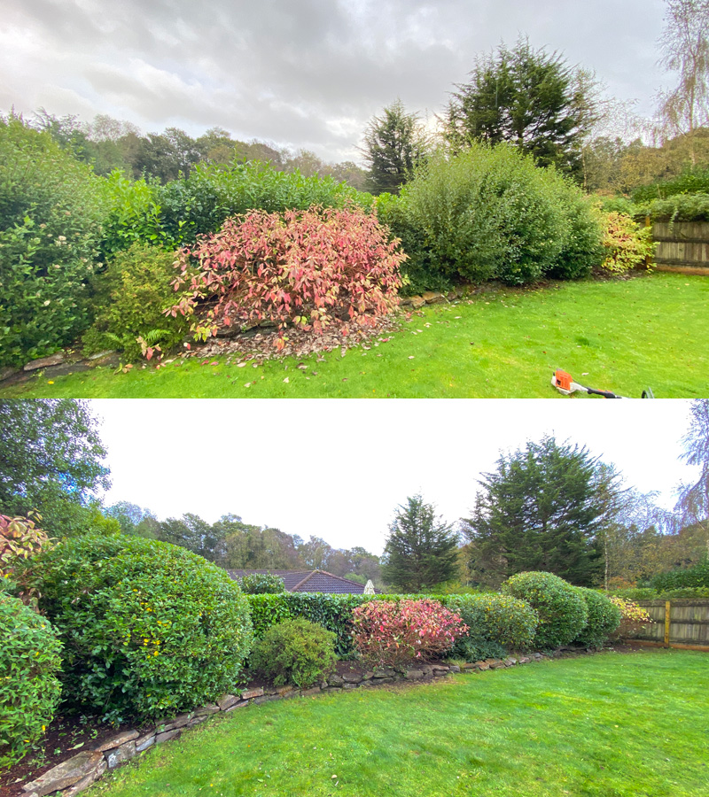 Hedge Cutting East Devon