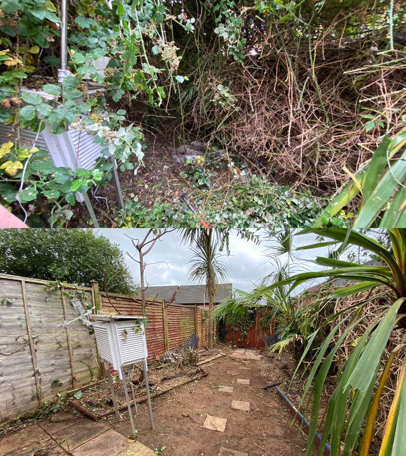 Site Clearance Exeter Site Clearance Exeter