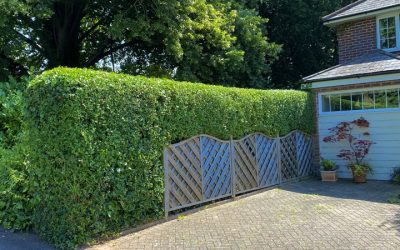 What Shape Is Your Hedge