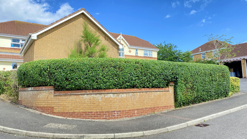 Hedge Cutting Sidmouth