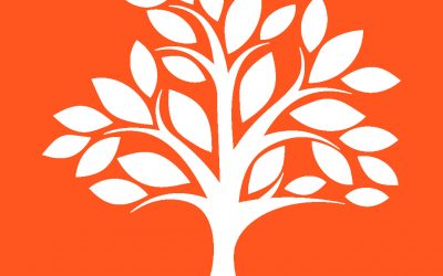 Why Use Devon Arborists