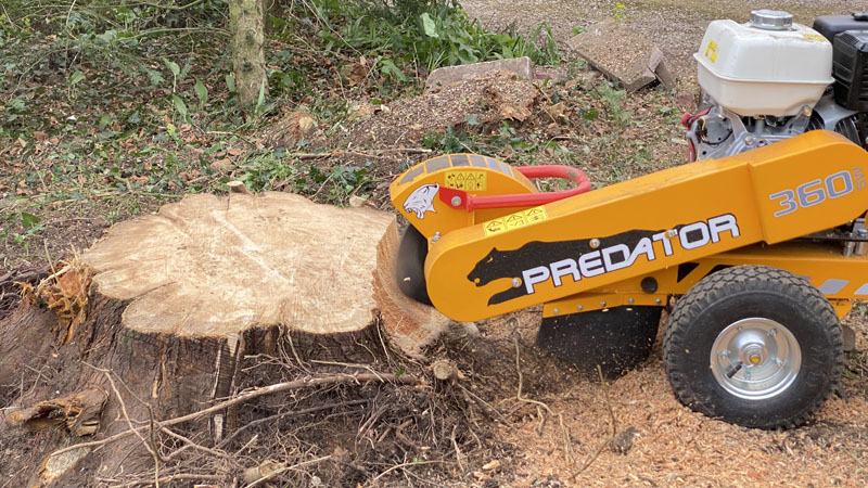 Stump Grinding Axminster