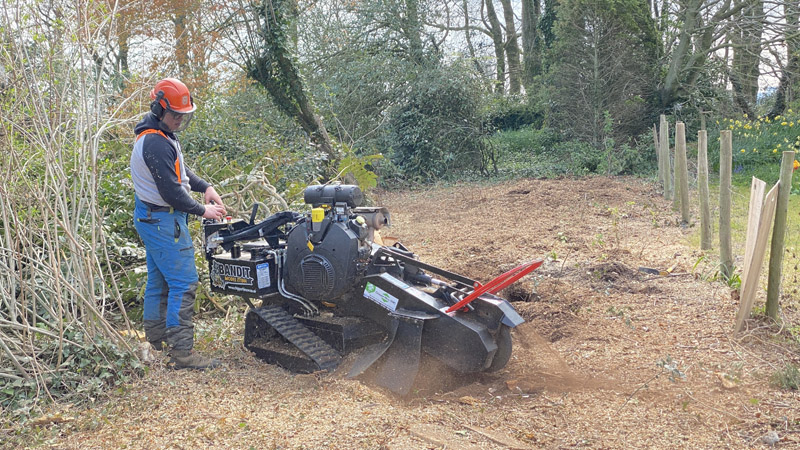 Stump Grinding Axminster