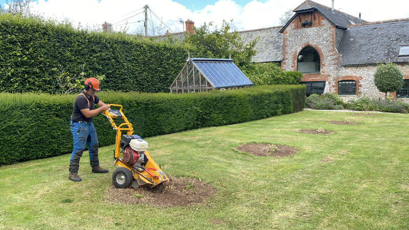 Stump Grinding Axminster