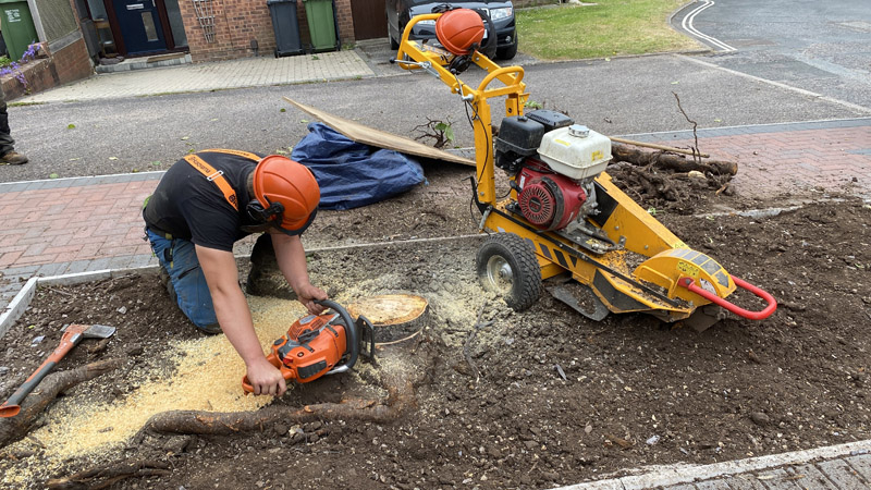 Stump Grinding Axminster