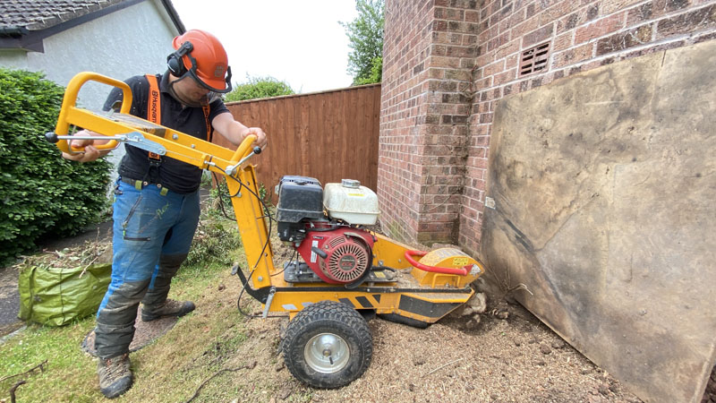 Stump Grinding Axminster