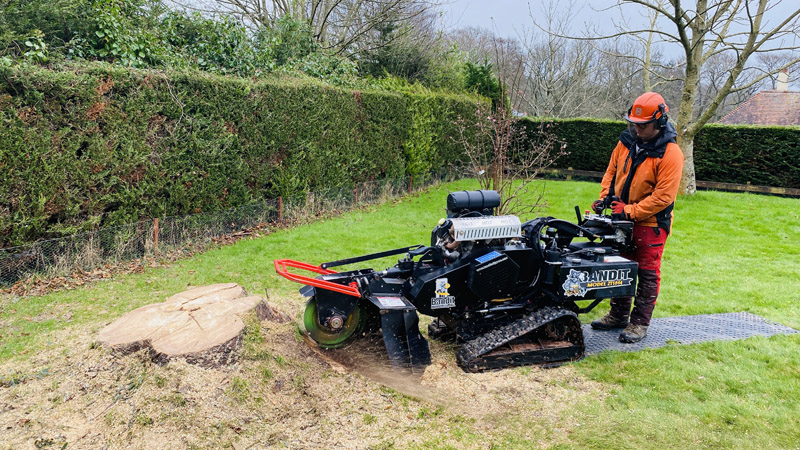 Stump Grinding Axminster