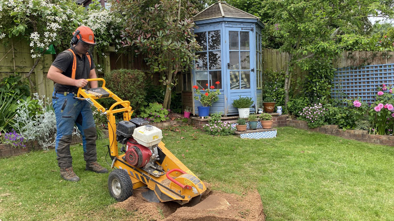 Stump Grinding Axminster