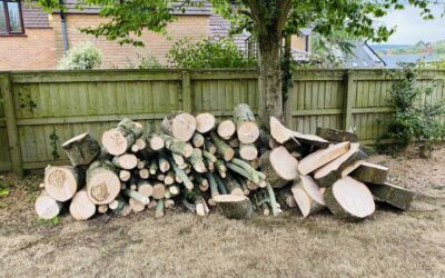 Free Firewood Logs East Devon