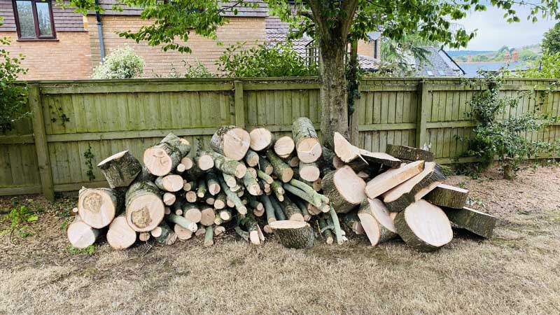 Free Firewood Logs East Devon