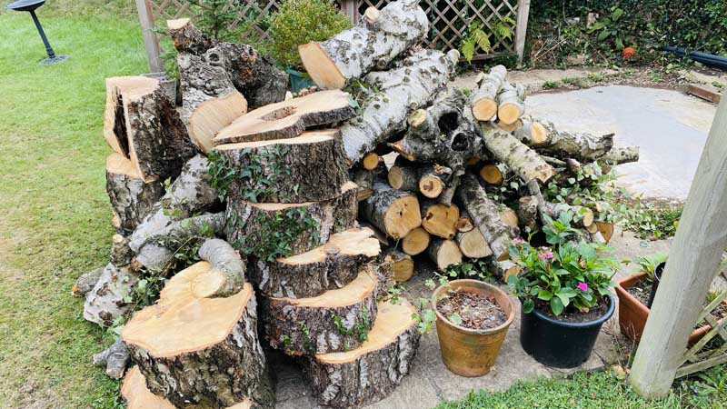 Free Firewood Logs East Devon