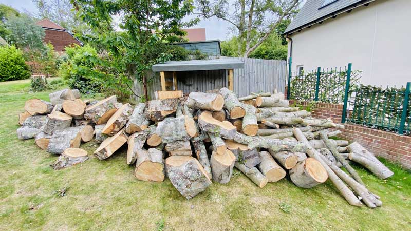 Free Firewood Logs East Devon