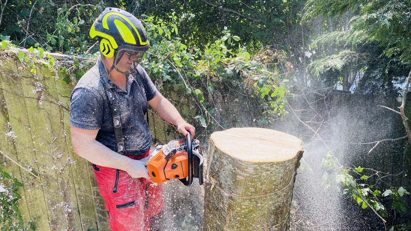 Tree Surgeon Sidmouth