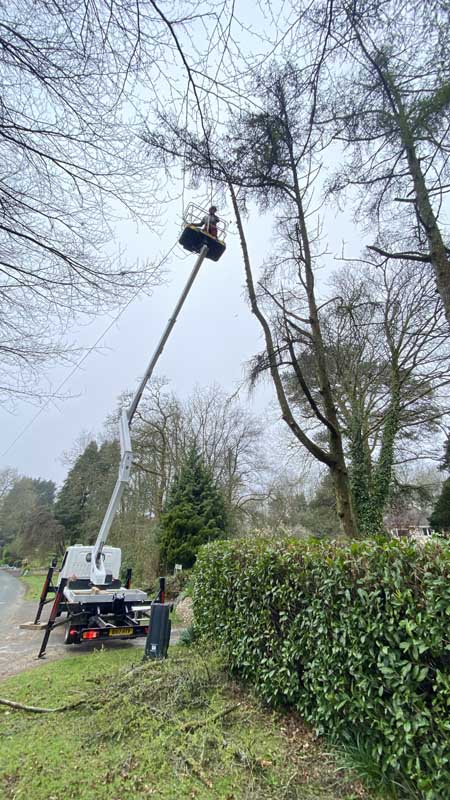 Cherry Picker East Devon Cherry Picker East Devon
