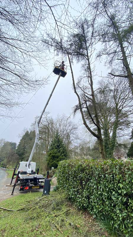 Cherry Picker East Devon