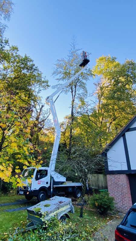 Tree Surgeon with Cherry Picker East Devon