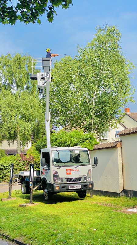 Tree Surgeon with Cherry Picker East Devon