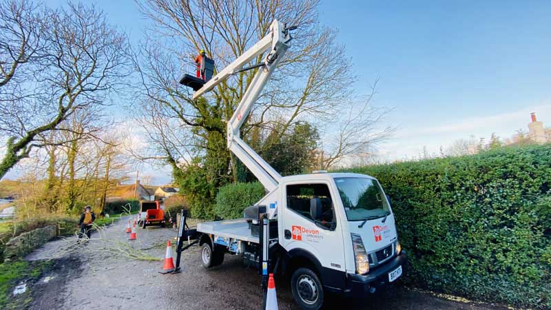 East Devon Tree Surgeons