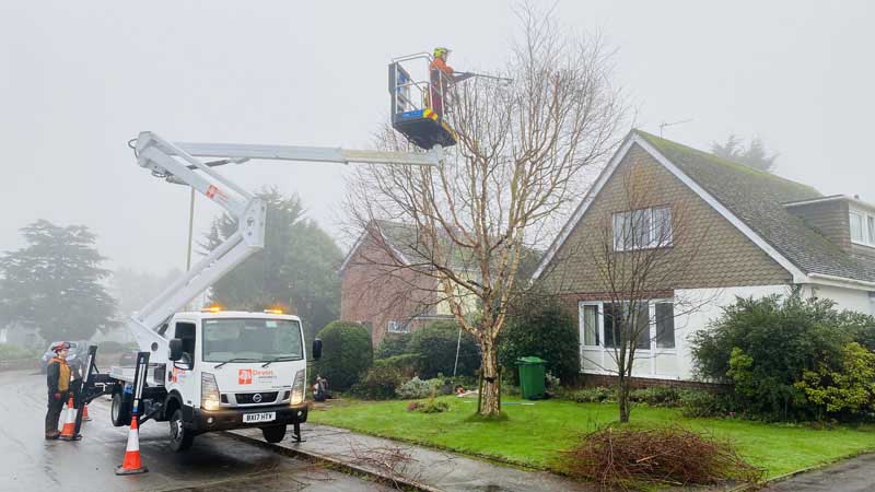 East Devon Tree Surgeons