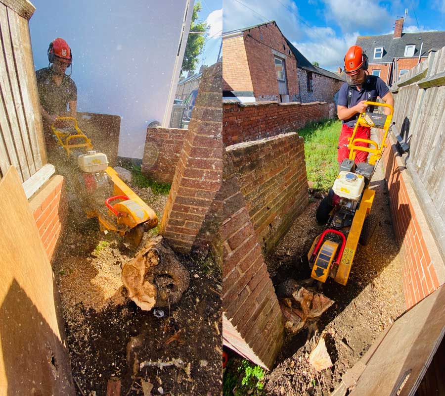 Stump Grinding East Devon