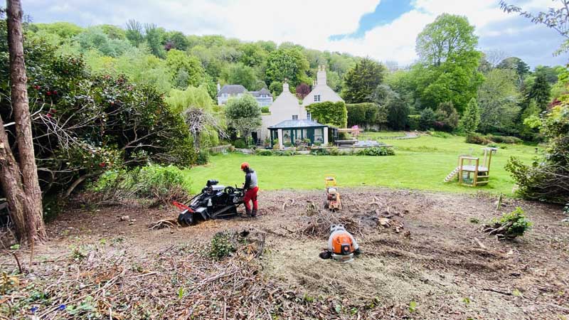 Stump Grinding West Dorset