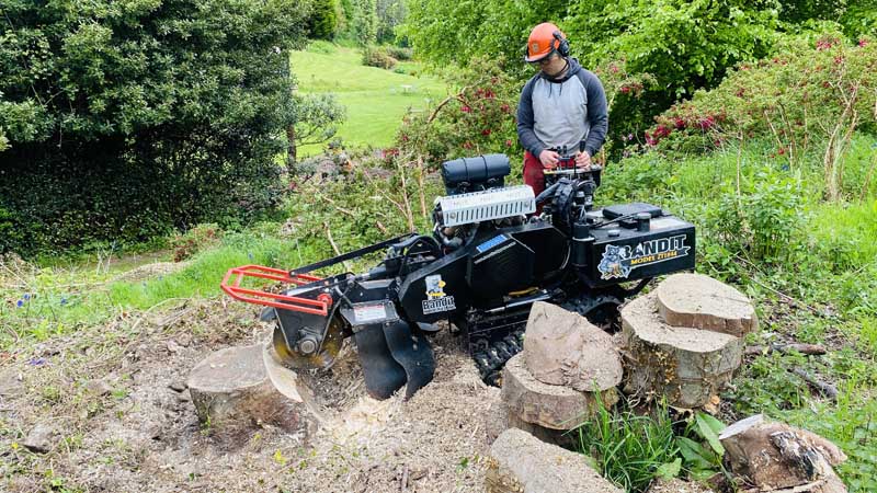 Stump Grinding West Dorset