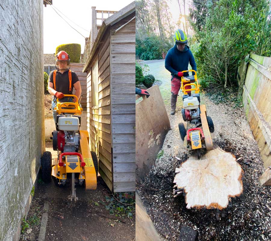 Stump Grinding East Devon