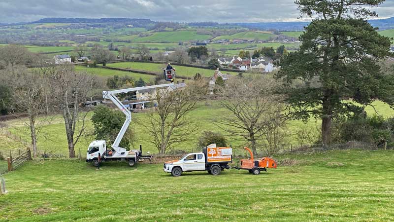 Tree Surgeon With Cherry Picker East Devon