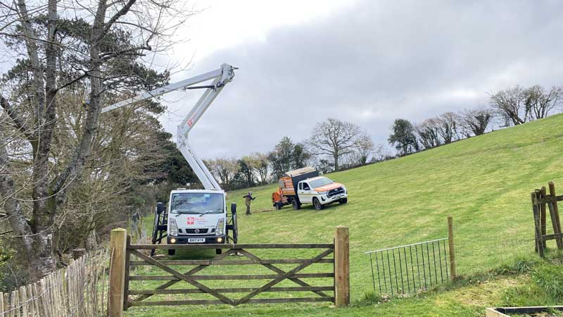 Tree Surgeon With Cherry Picker East Devon