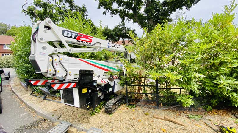 Tree Surgeon East Devon With Cherry Picker Tree Surgeon East Devon With Cherry Picker