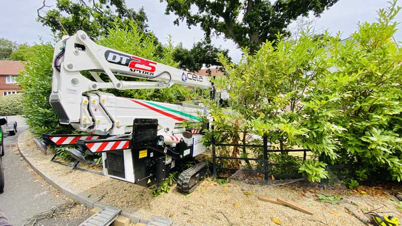 Tree Surgeon East Devon With Cherry Picker