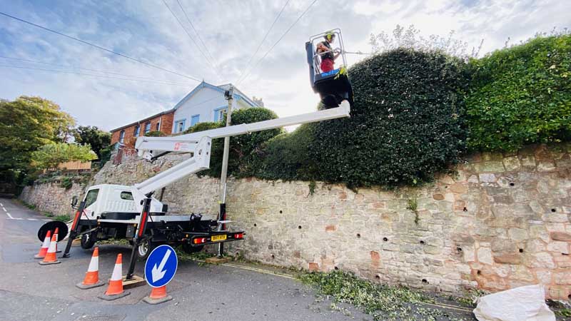 Tree Surgeon With Cherry Picker East Devon