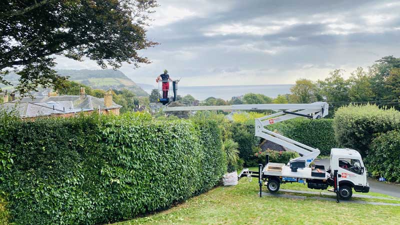 Tree Surgeon With Cherry Picker East Devon