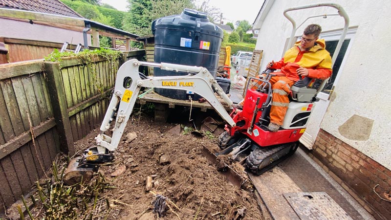 Bamboo Removal East Devon