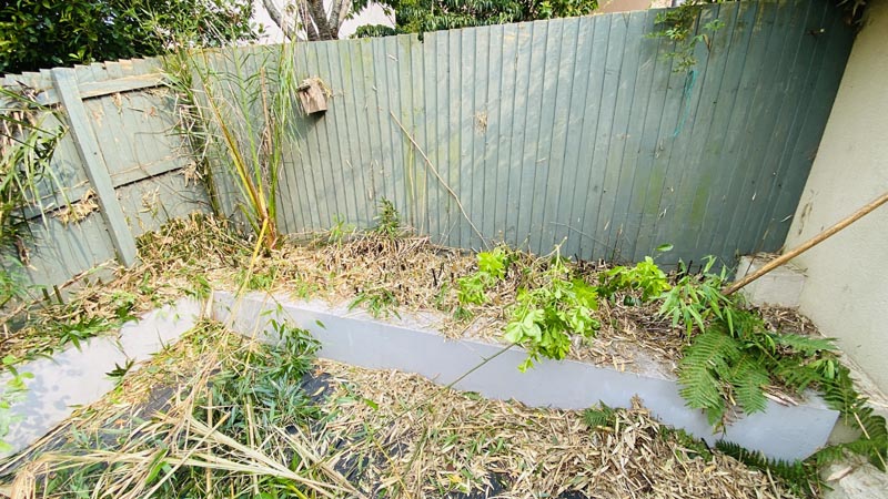 Bamboo Removal Exeter Bamboo Removal Exeter