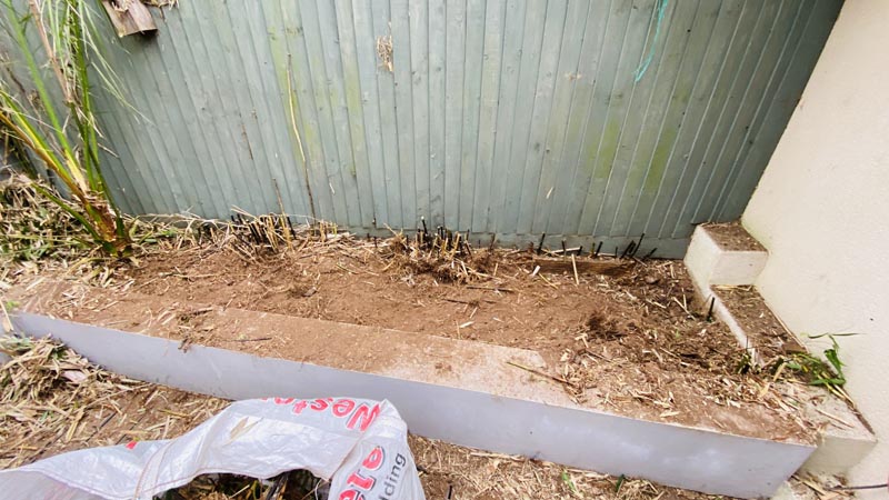 Bamboo Removal Exeter Bamboo Removal Exeter